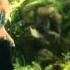 Shakira Dare La La La Official Music Video
