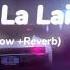 La La Laili Slow Reverb New Tiktok Viral Song Slow Reverb La La Laili Famous Song 2024