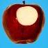 Hidden Patterns Inside Fruit
