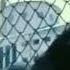 Eminem 2Pac Im The Devil Yuri Boyka Scott Adkins
