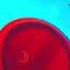 Disney Channel Ribbon Era BGM 4 Famous