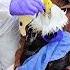 A Struggling Eagle Was Sinking Until This Family Stepped In