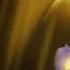 Undertale 3rd Anniversary Special Undertale Acoustic