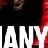 DOWNLOAD MP3 DJ Khaled How Many Times Feat Chris Brown Lil Wayne Big Sean ITunesRip
