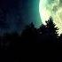 Vipn ToTheMoon Wave