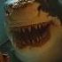 Big Shark Transformation