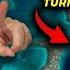 Bu Videomu Sonuna Kadar İZLE Uçakla Dünyanın En Ünlü Dalış Yerine Gittim