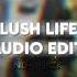 Lush Life Zara Larsson Audio Edit