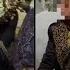 Klarifikasi Keluarga Fakta Di Balik Pernikahan Viral Bocah Di Lombok