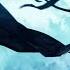 Fight Song AMV Black Rock Shooter