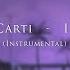 Playboi Carti Immortal Instrumental Slowed Reverb