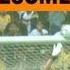Amazing Miguel Layún America Vs Chiapas AWESOME Free Kick