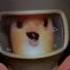 Chicken Little 2005 Fish Out The Water Dance Don T Go Breaking My Heart Chicken Little Walt Disney