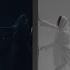Nazanin Rezaee Contradiction Official Video