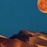 Desert Moon Dennis DeYoung
