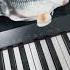 Lin Gan Guliguli Piano
