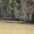 Boating Accident On Bayou Black June 22 2013 Leaves One Ma