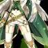 NIGHTCORE Therapy Session