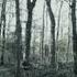 VICTIM A Short Slender Man Horror Film