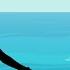 Shadow Dance LITTLE MERMAID By Verba Shadow Theatre Group