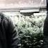 COME BACK James Abdou Mamskileur CLIP HD M4v