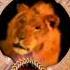 MGM UA Home Video 1993 With Voiceover By Robert Stack Fanmade
