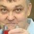 Куст рябины автор слов и музыки Александр Власов аранжировка Дмитрий Заманский