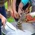 Lobsters In Coconut Milk Wrapped With Banana Leaves Village Cooking Art Chef Eggyolks