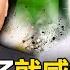 Will China Attack Taiwan If Its Economy Collapses Will Hu Chunhua Rise To Prominence