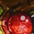 Opening Yowie Chocolate What S Inside Shorts