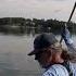 The Fantastic Fluke Fish Can T Resist Shorts Bassfishing