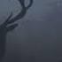 Gloomy Mix Rain Drop Bambi Little April Shower