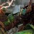 He Thinks Lawbringer Is Bad In 2025 For Honor