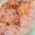 I Have Never Eaten Such A Delicious Fish The Most Tender Recipe That Melts In Your Mouth