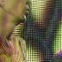 Mad Tribe Live Orion Brazil 2017