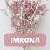 Ismlar Ma Nosi Imrona Fyp Youtube Uzbekistan Imrona Uzbeknames Ismlar