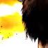 Amadea Music Productions Across The Plains Wildlife Adventure Orchestral Nature Documentary