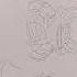 Swamp Monster Drawing Gillman Monster Art Drawing Shorts