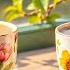 May Jazz Relaxing Morning Coffee Jazz Music Happy Bossa Nova Instrumental For Positive Mood