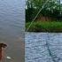 Сазаны снова порвали сеть рыбалка на паук подъёмник Fishing рыбалка 낚시 Carpfishing