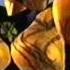 Beast Wars Blackarachnia A Bad Girl