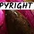 Colorful Flowers Tokyo Music Walker No Copyright Music