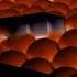 Samsung Logo Balls In G Major 50