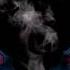 Barney Home Video Logo Gone Horribly Wrong