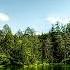The White Birch Moorland Songs Scandinavian Music Sad Violin Music Peaceful Instrumental Music