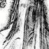MERCY S DIRGE Devilish Wish Official Track