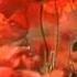Ernesto Cortazar The Greatest Miracle Of Love