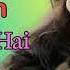 Kaliyon Ka Chaman Dj Song Hindi Love Song Tik Tok Viral Song 90 S Hindi Songs