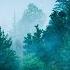 3 Hour Zen Meditation Music Nature Sounds Relaxing Music Calming Music Healing Music 071C
