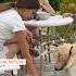 Karolina Protsenko Was Traning To Her Dog Cashew To Be Patient Violin Shorts